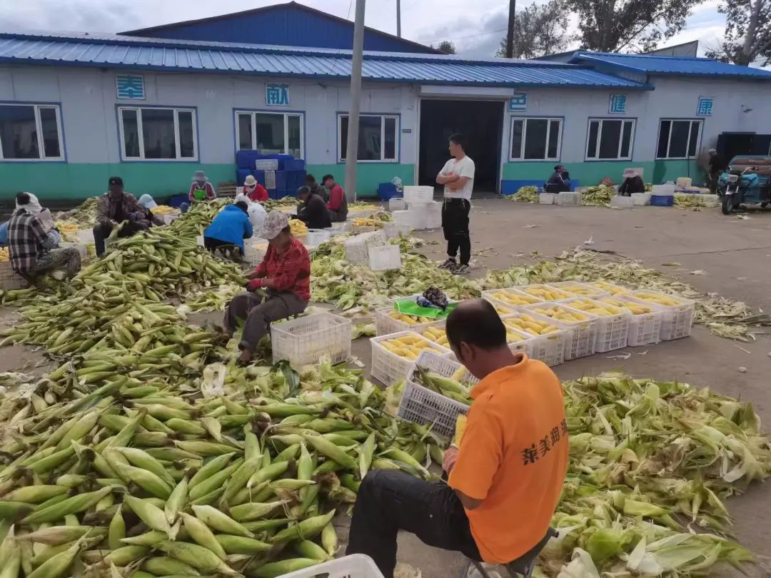 1695095308666813.jpg 164c30543a95ed36619cf1c14c7b802b.jpg